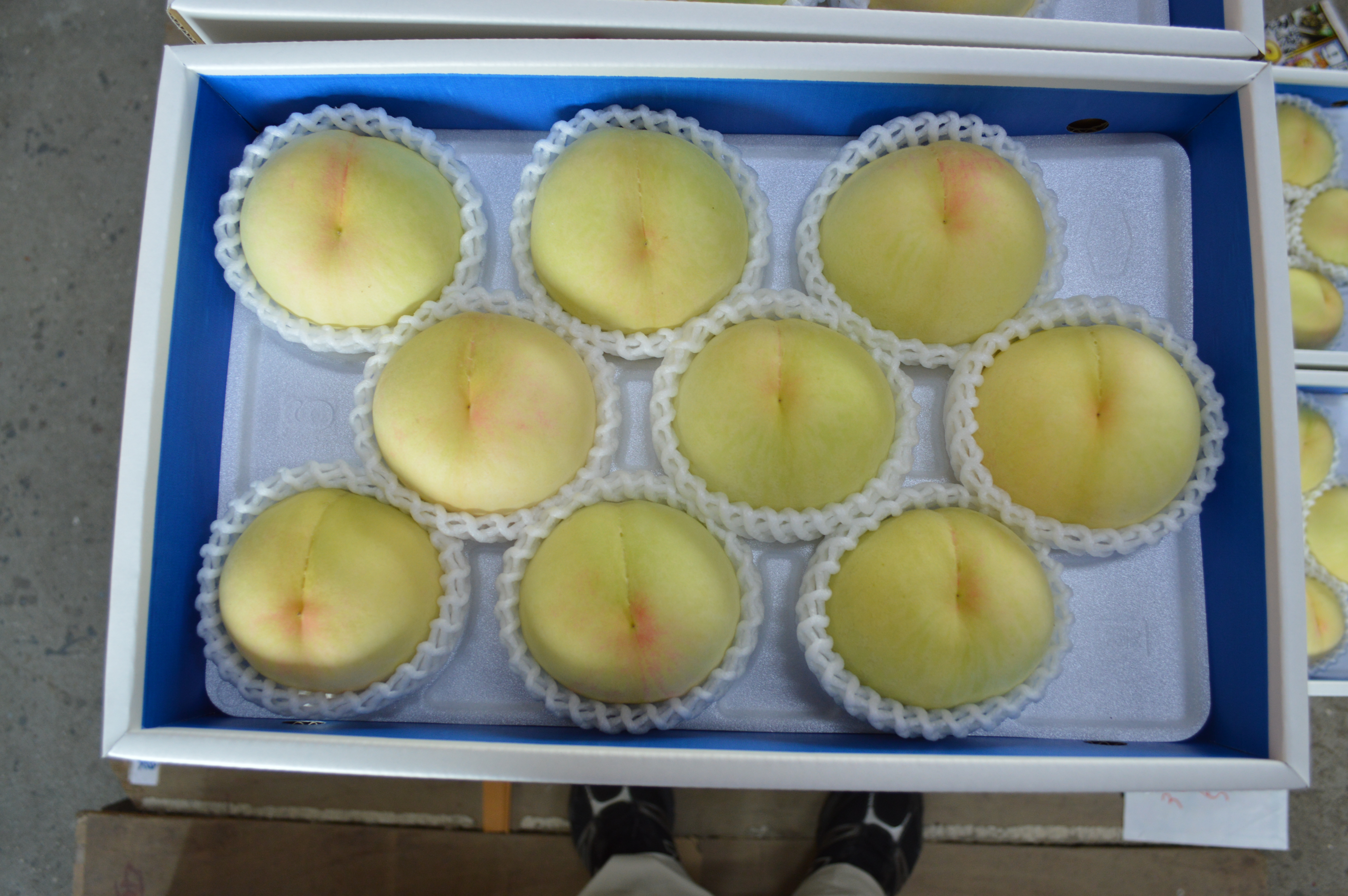 222. 川中島か清水ランダム★桃パパ★家庭用桃【送料無料】あらかわブランド桃